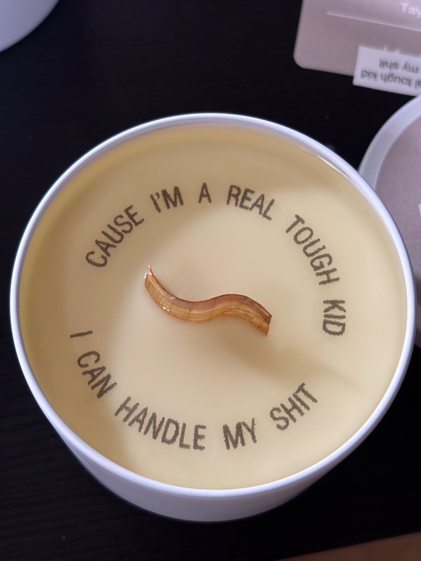 I Can Do It With a Broken Heart - Taylor Swift